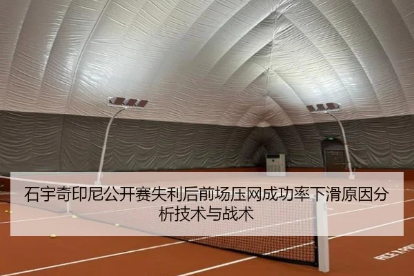 shi-yu-qi-yin-ni-gong-kai-sai-shi-li-hou-qian-chang-ya-wang-cheng-gong-lv-xia-hua-yuan-yin-fen-xi-ji-shu-yu-zhan-shu-2-252.jpg