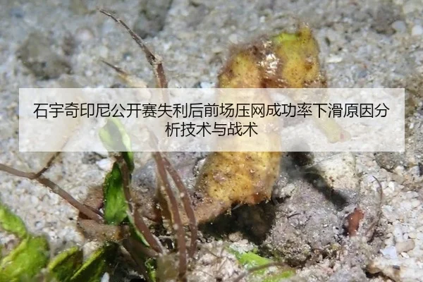 石宇奇印尼公开赛失利后前场压网成功率下滑原因分析技术与战术