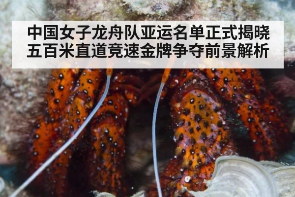 中国女子龙舟队亚运名单正式揭晓 五百米直道竞速金牌争夺前景解析